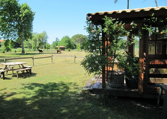 Gite Foret Landaise
