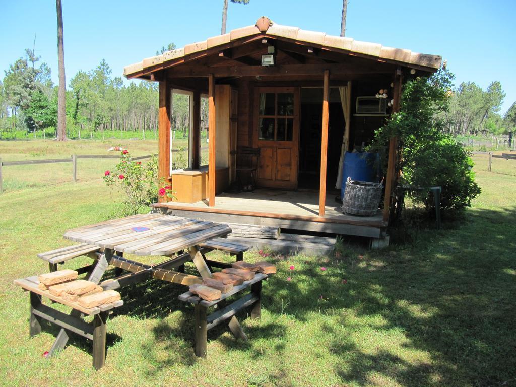 Foret Landaise Holiday home Sainte-Eulalie-en-Born
